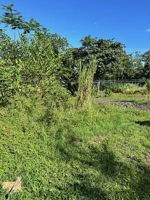 Trusted garden landscaping for outdoor upgrades across Keaau, HI - Hilo Turf