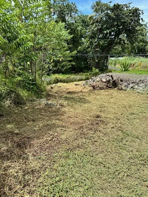 Affordable landscaping services with custom design across Keaau, HI - Hilo Turf
