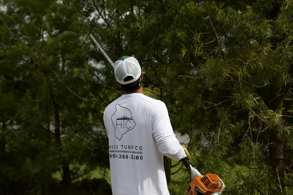 Trusted yard maintenance for beautiful yards across Keaau, HI - Hilo Turf