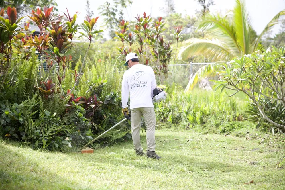 Affordable outdoor landscaping experts serving Keaau, HI - Hilo Turf