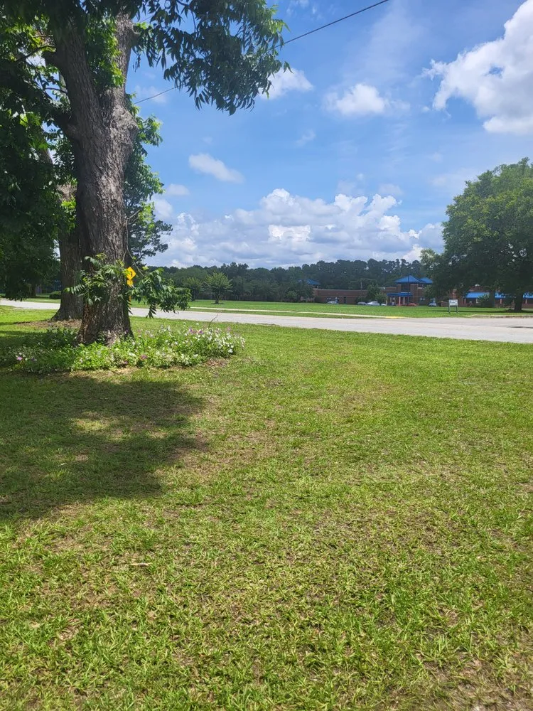 Trusted yard cleanup service for homes across Cope, SC - Hilton's Lawncare and Pressure Washing