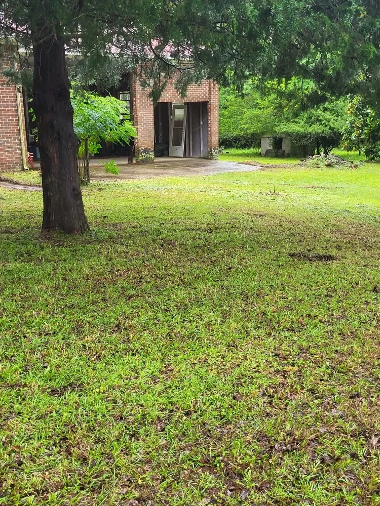 Custom lawn care service for beautiful yards across Cope, SC - Hilton's Lawncare and Pressure Washing