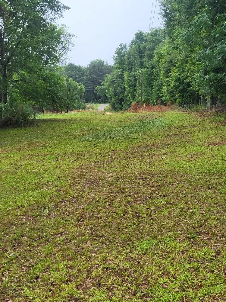 Top-rated garden landscaping experts serving Cope, SC - Hilton's Lawncare and Pressure Washing