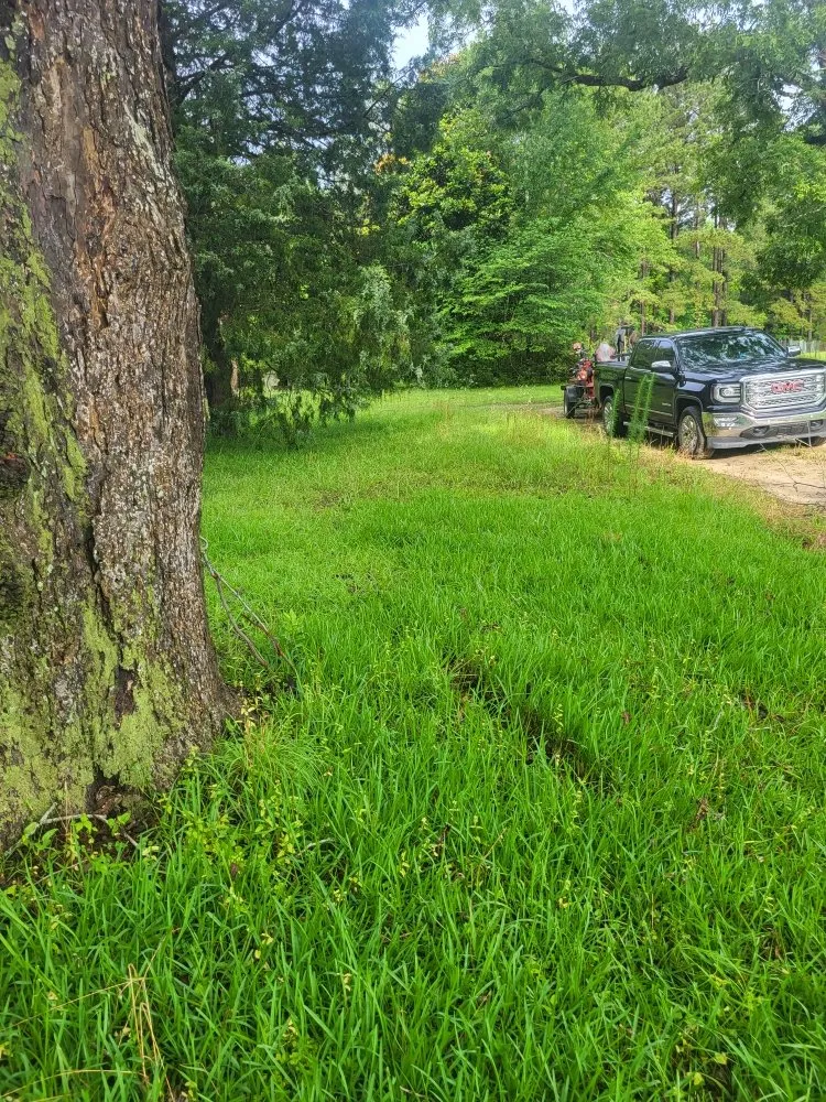 Affordable yard cleanup service for homes across Cope, SC - Hilton's Lawncare and Pressure Washing