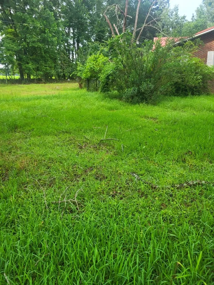 Expert garden landscaping for homes across Cope, SC - Hilton's Lawncare and Pressure Washing