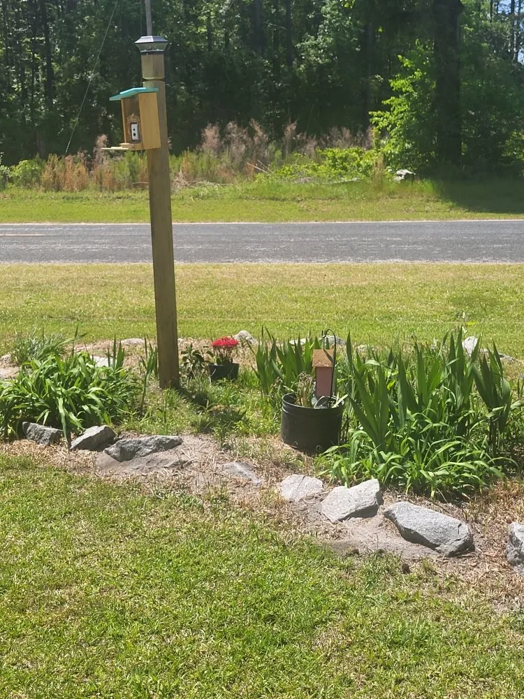 Professional yard maintenance experts serving Cope, SC - Hilton's Lawncare and Pressure Washing