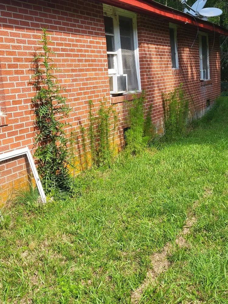 Expert landscape installation in Cope, SC by Hilton's Lawncare and Pressure Washing