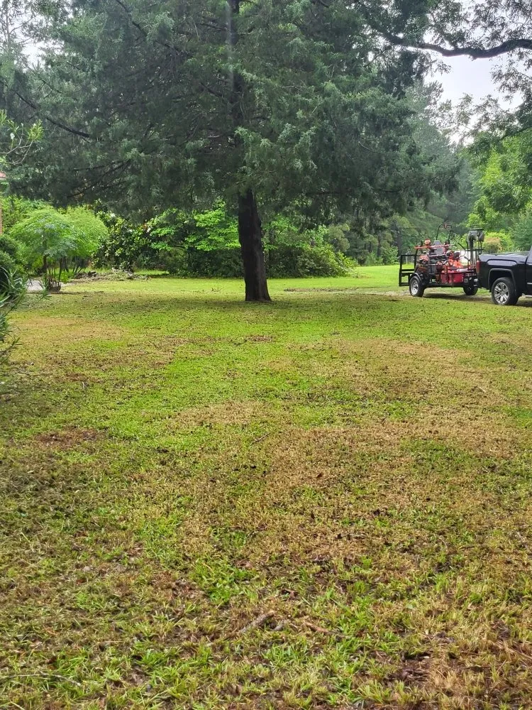 Reliable yard cleanup service in Cope, SC - Hilton's Lawncare and Pressure Washing
