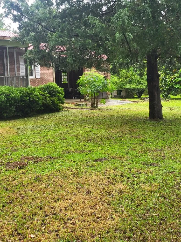 Professional lawn care service for residential properties across Cope, SC - Hilton's Lawncare and Pressure Washing
