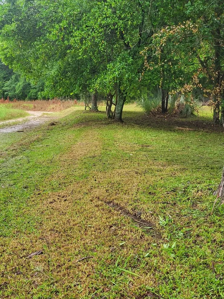 Professional landscape design experts serving Cope, SC - Hilton's Lawncare and Pressure Washing