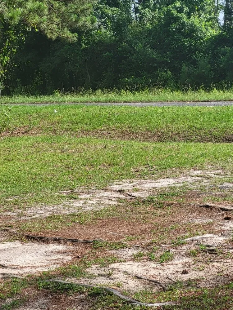 Top-rated lawn mowing service experts serving Cope, SC - Hilton's Lawncare and Pressure Washing