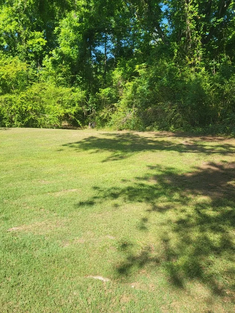 Local landscape design in Cope, SC by Hilton's Lawncare and Pressure Washing
