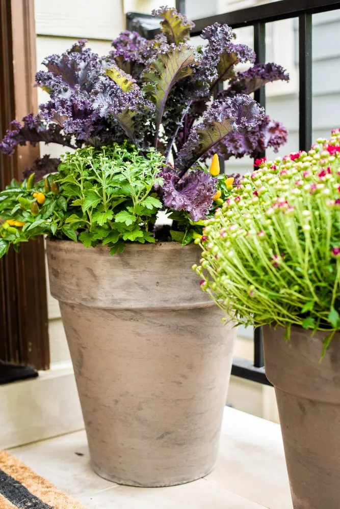 Professional lawn care service in Chicago, IL by Himsben Design Studio