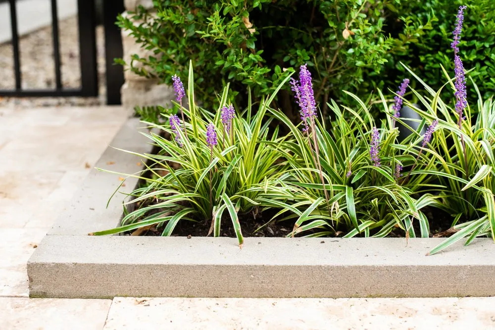 Expert landscape installation for homes in Chicago, IL by Himsben Design Studio