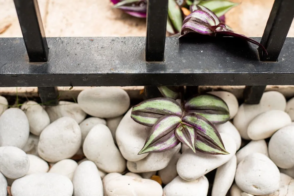 Affordable landscaping services for outdoor upgrades across Chicago, IL - Himsben Design Studio