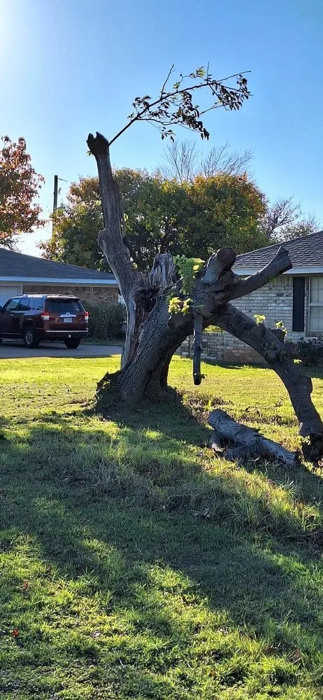 Expert yard maintenance in Wichita Falls, TX by Hincks Total Lawn Care