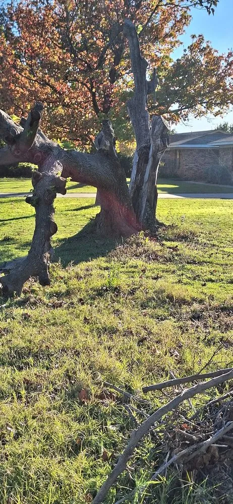 Top-rated lawn mowing service for outdoor upgrades in Wichita Falls, TX by Hincks Total Lawn Care