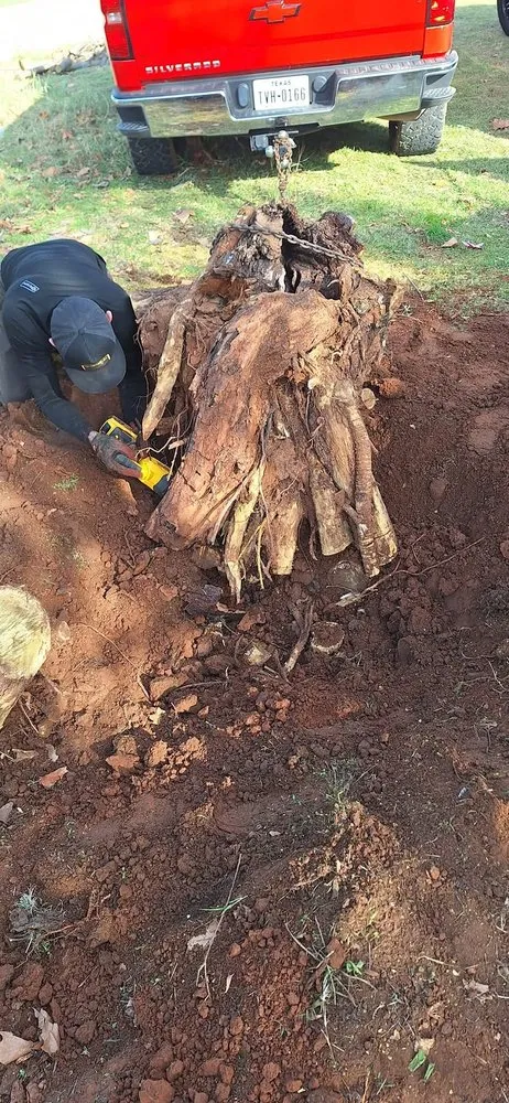 Reliable lawn care service with custom design in Wichita Falls, TX by Hincks Total Lawn Care