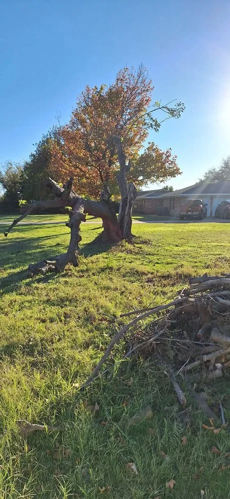 Top-rated yard cleanup service for residential properties in Wichita Falls, TX by Hincks Total Lawn Care