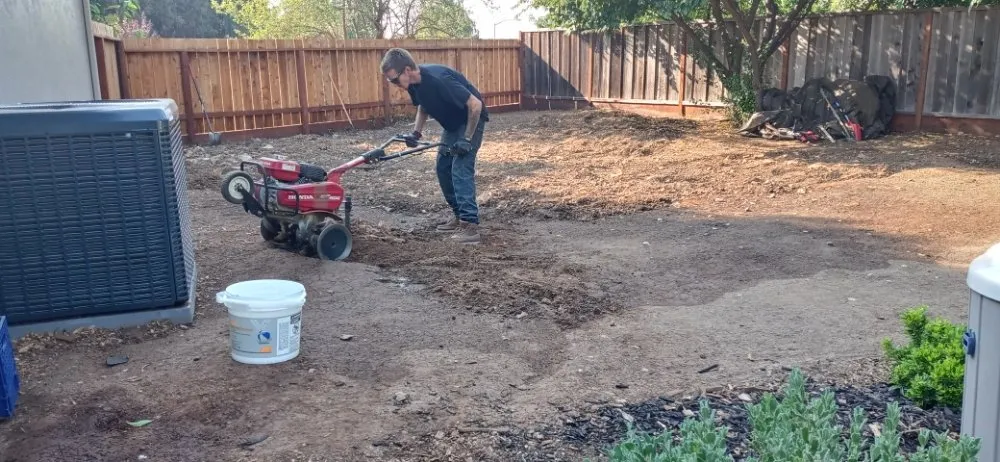 Affordable lawn mowing service in Brentwood, CA by Hines Designs And Landscaping