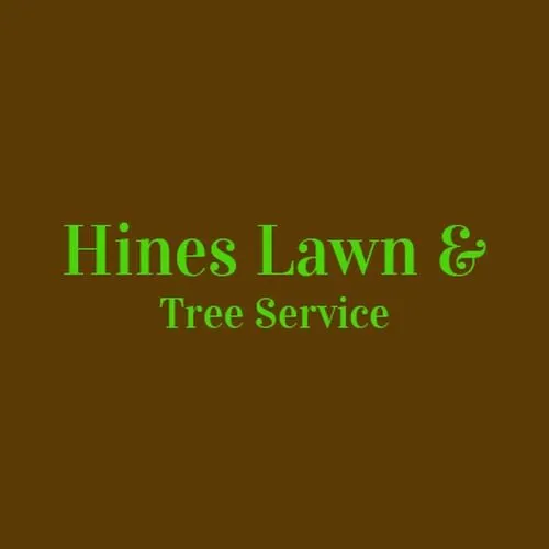 Reliable yard cleanup service for residential properties across Decatur, GA - Hines Lawn & Tree Service