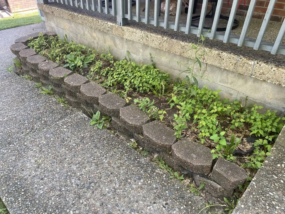 Local yard cleanup service experts serving Paris, KY - Hinkson Services