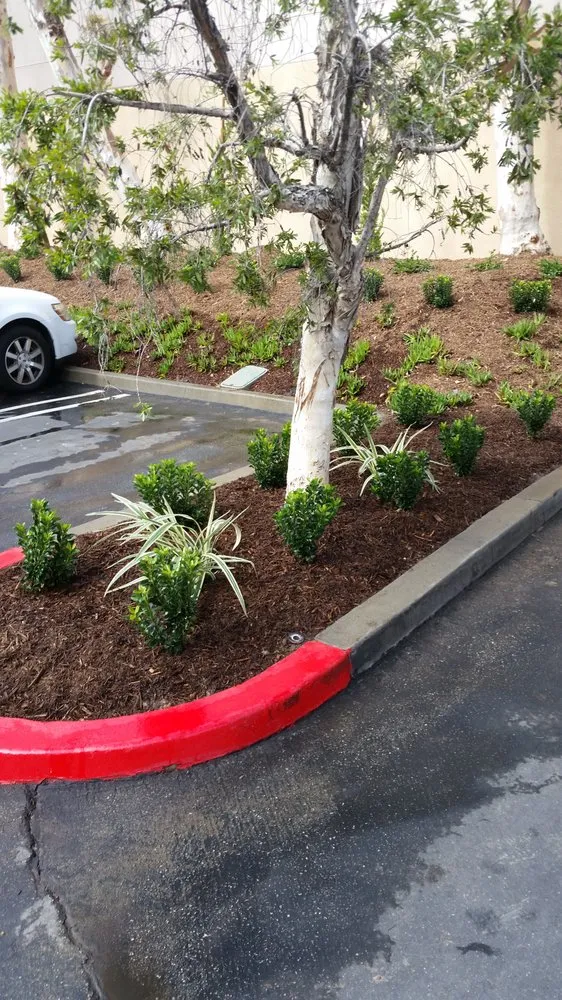 Affordable landscape installation in San Juan Capistrano, CA - Hinojo Landscape Maintenance