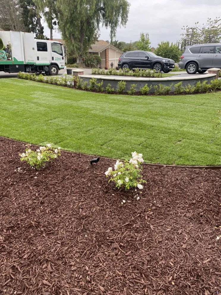 Professional yard maintenance for year-round maintenance across San Juan Capistrano, CA - Hinojo Landscape Maintenance