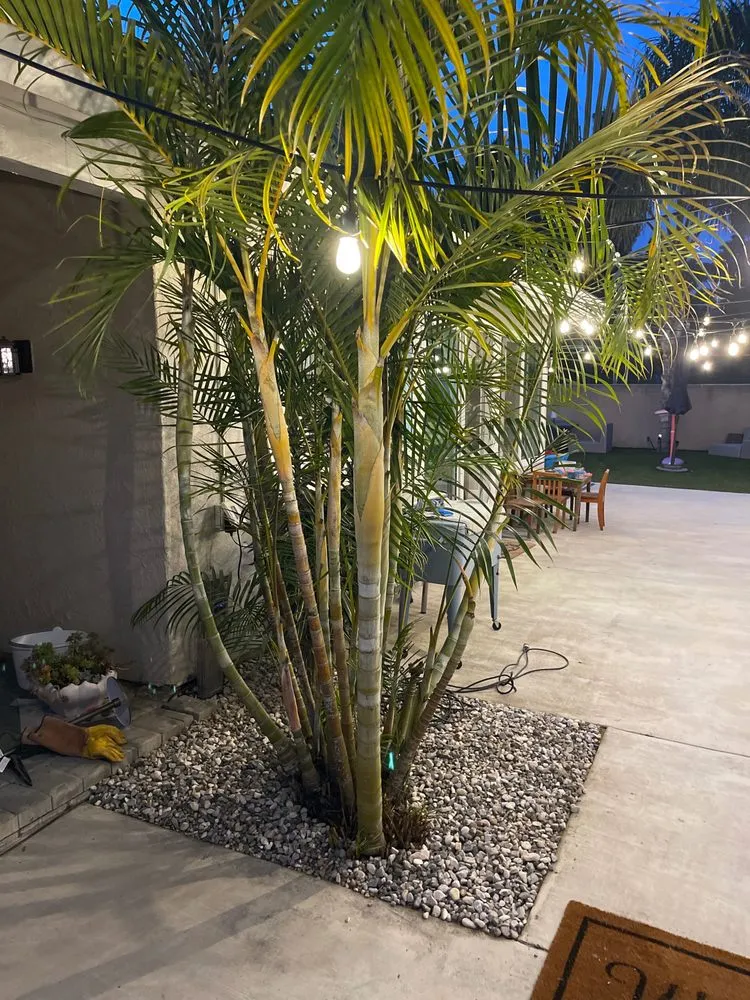 Custom garden landscaping with custom design in Lake Elsinore, CA by Hinojosa Labor