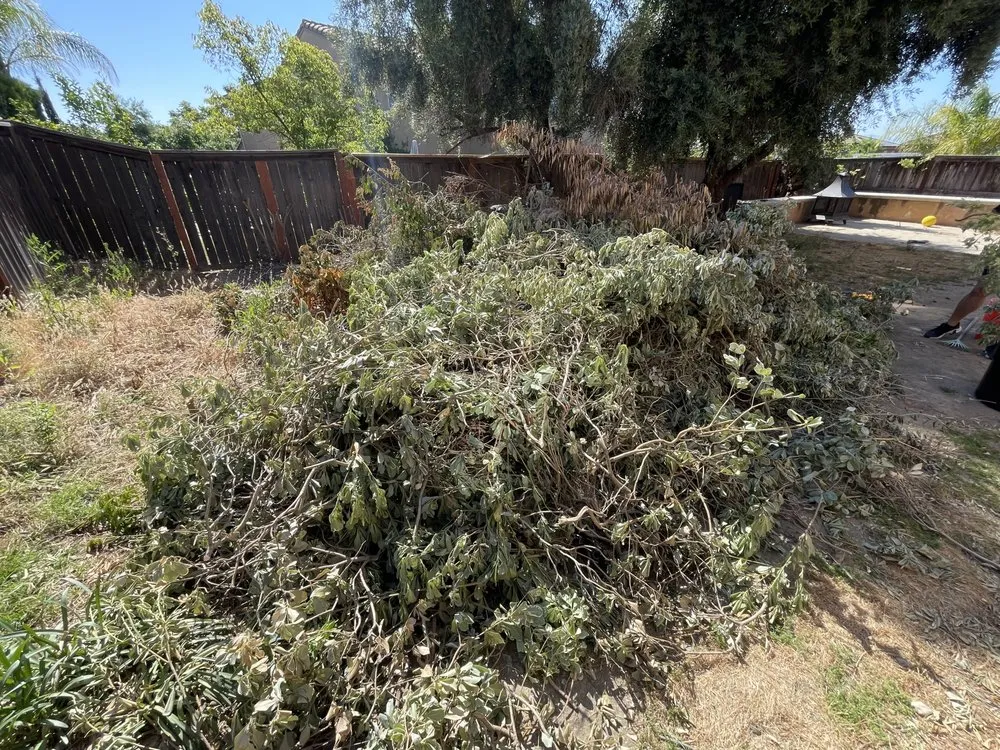 Trusted landscape design experts serving Lake Elsinore, CA - Hinojosa Labor