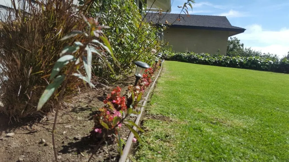 Custom lawn care service experts serving Oxnard, CA - Hinojosa Landscaping & Tree Care