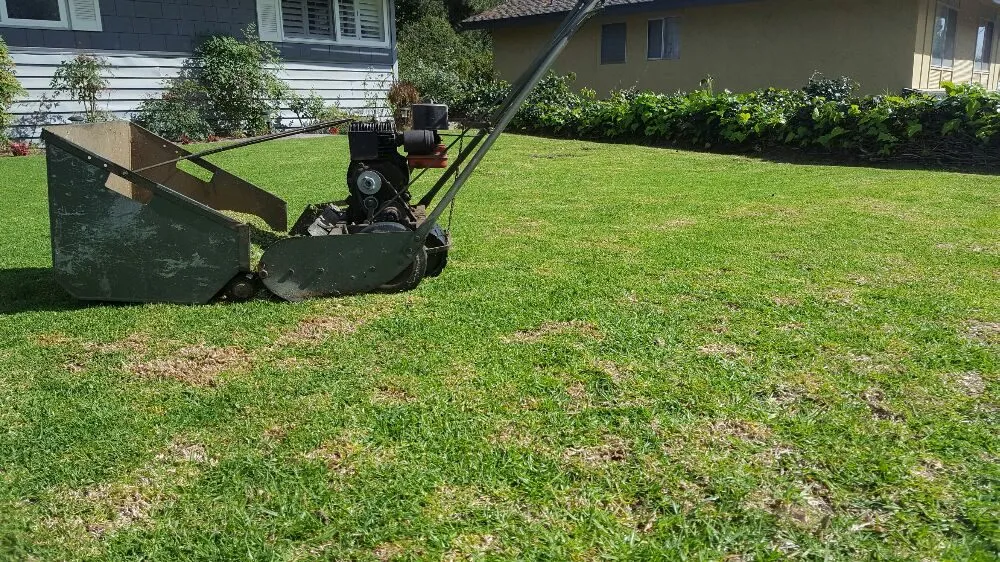 Local lawn mowing service in Oxnard, CA by Hinojosa Landscaping & Tree Care