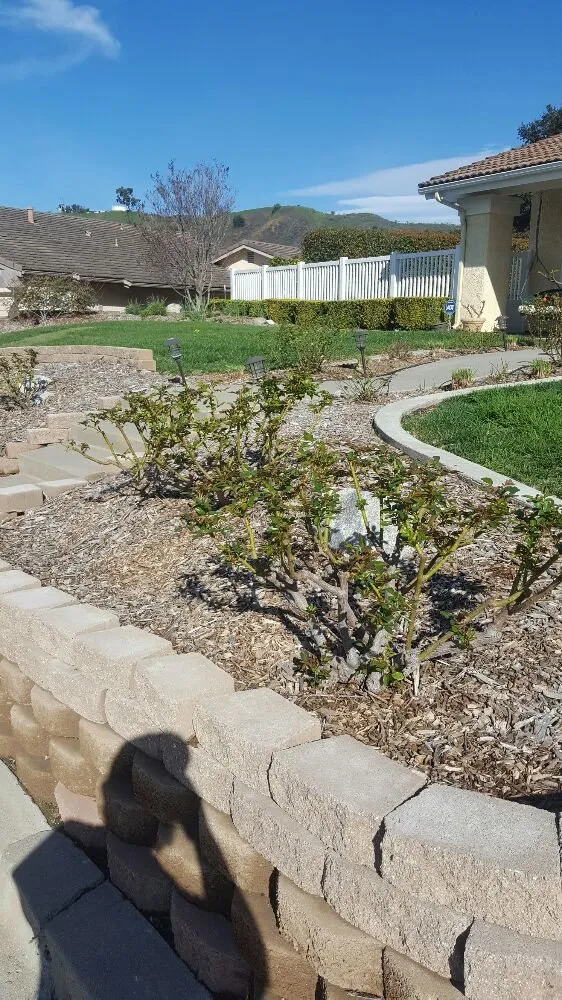 Custom yard maintenance for beautiful yards across Oxnard, CA - Hinojosa Landscaping & Tree Care