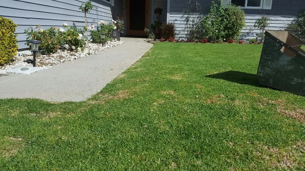 Top-rated residential landscaping in Oxnard, CA by Hinojosa Landscaping & Tree Care