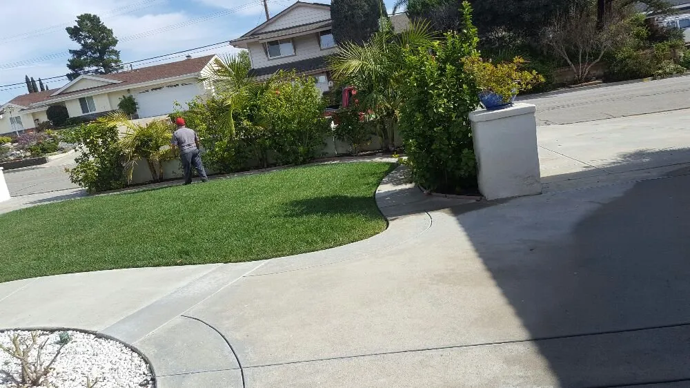 Expert landscape installation experts serving Oxnard, CA - Hinojosa Landscaping & Tree Care