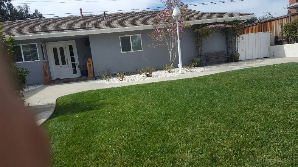 Expert yard maintenance for beautiful yards across Oxnard, CA - Hinojosa Landscaping & Tree Care