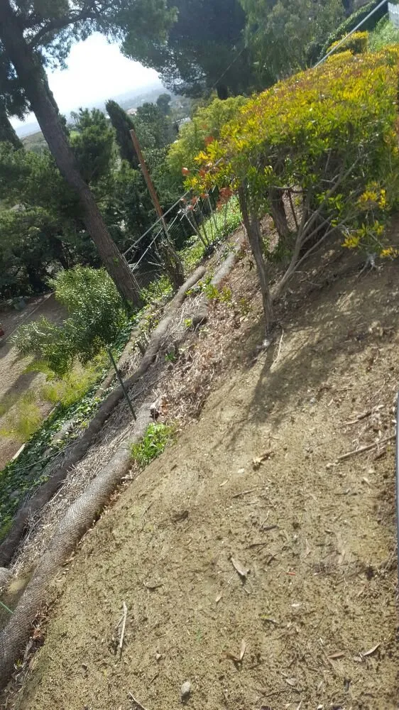 Reliable yard maintenance experts serving Oxnard, CA - Hinojosa Landscaping & Tree Care