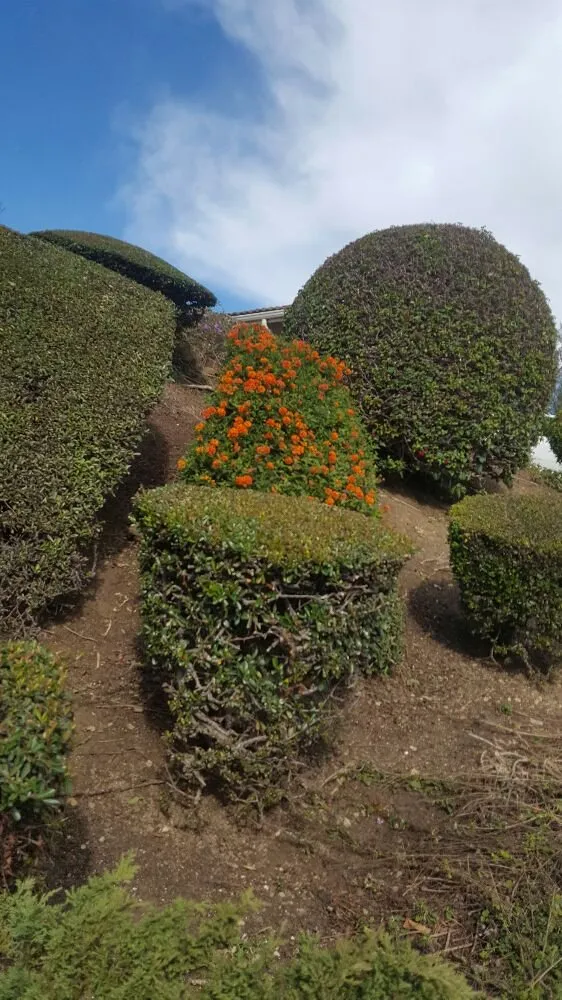 Reliable lawn mowing service experts serving Oxnard, CA - Hinojosa Landscaping & Tree Care