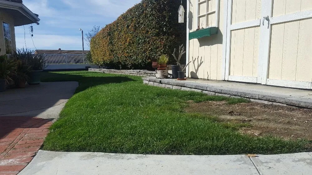 Trusted lawn care service experts serving Oxnard, CA - Hinojosa Landscaping & Tree Care