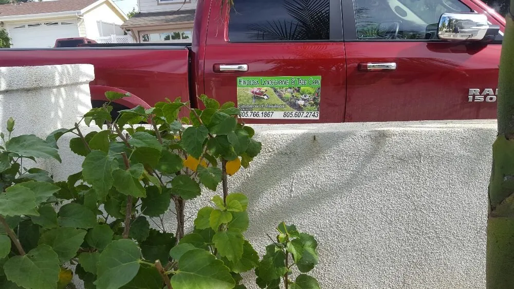 Expert landscaping services for residential properties in Oxnard, CA by Hinojosa Landscaping & Tree Care