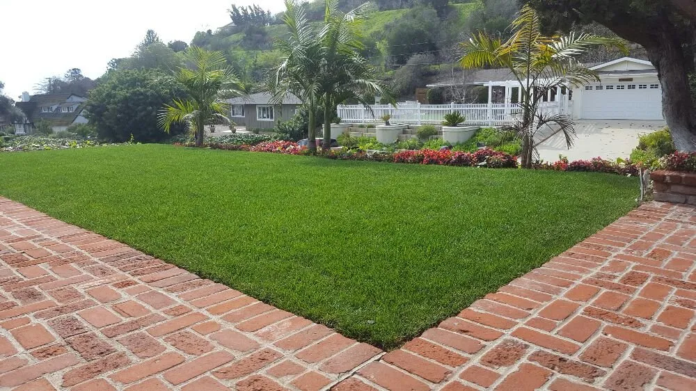 Custom landscape installation in Oxnard, CA by Hinojosa Landscaping & Tree Care