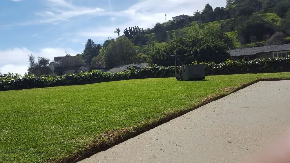 Affordable landscape design for year-round maintenance in Oxnard, CA by Hinojosa Landscaping & Tree Care