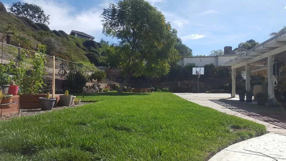 Custom yard maintenance in Oxnard, CA by Hinojosa Landscaping & Tree Care