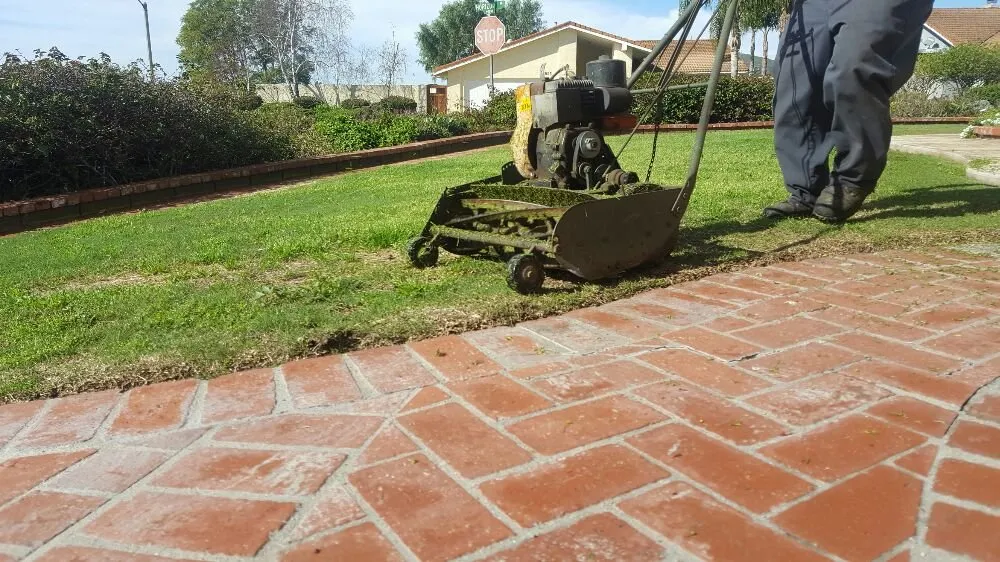 Local landscape installation in Oxnard, CA by Hinojosa Landscaping & Tree Care