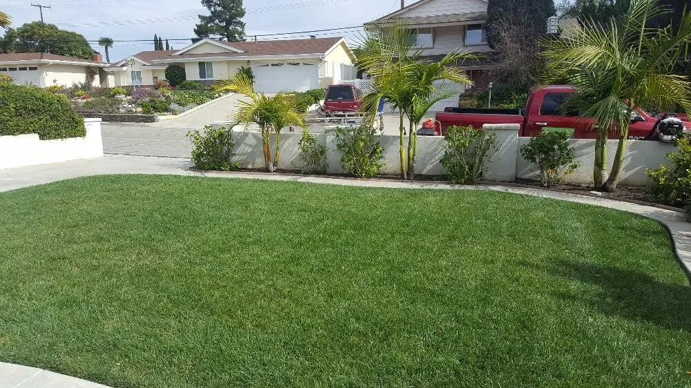 Professional yard cleanup service in Oxnard, CA - Hinojosa Landscaping & Tree Care