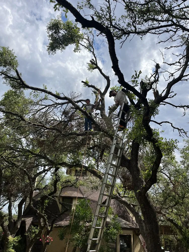 Affordable residential landscaping experts serving San Antonio, TX - Hinojosa Tree and landscaping services