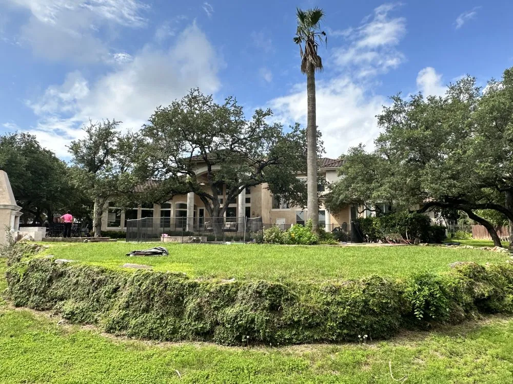 Local lawn mowing service for beautiful yards in San Antonio, TX by Hinojosa Tree and landscaping services