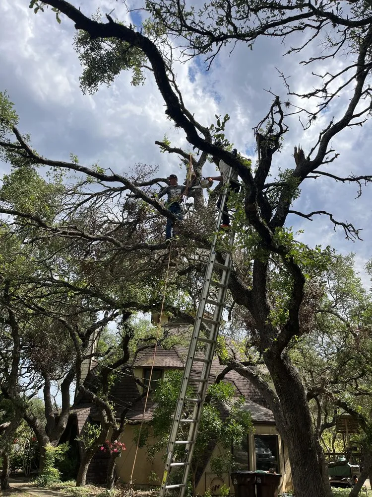 Top-rated outdoor landscaping for homes across San Antonio, TX - Hinojosa Tree and landscaping services