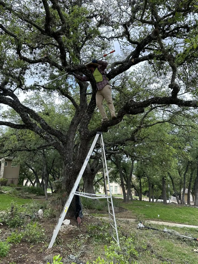 Trusted landscape design in San Antonio, TX by Hinojosa Tree and landscaping services