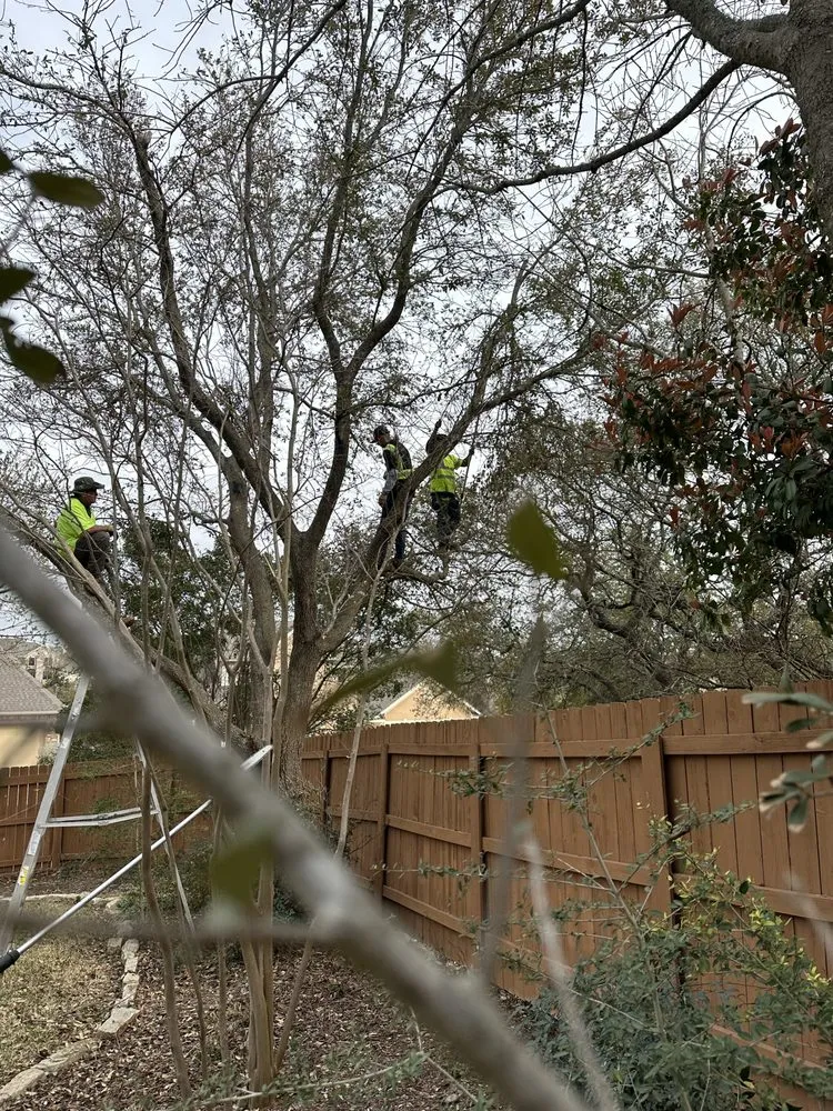 Local residential landscaping for homes across San Antonio, TX - Hinojosa Tree and landscaping services